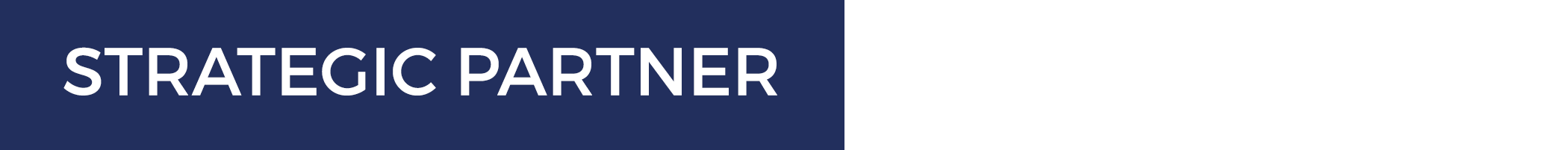 strategic partner