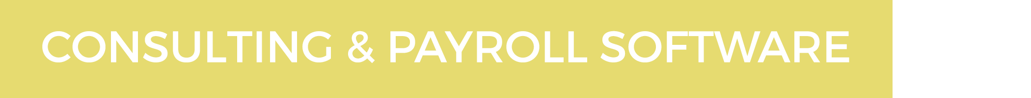 consulting and payroll software
