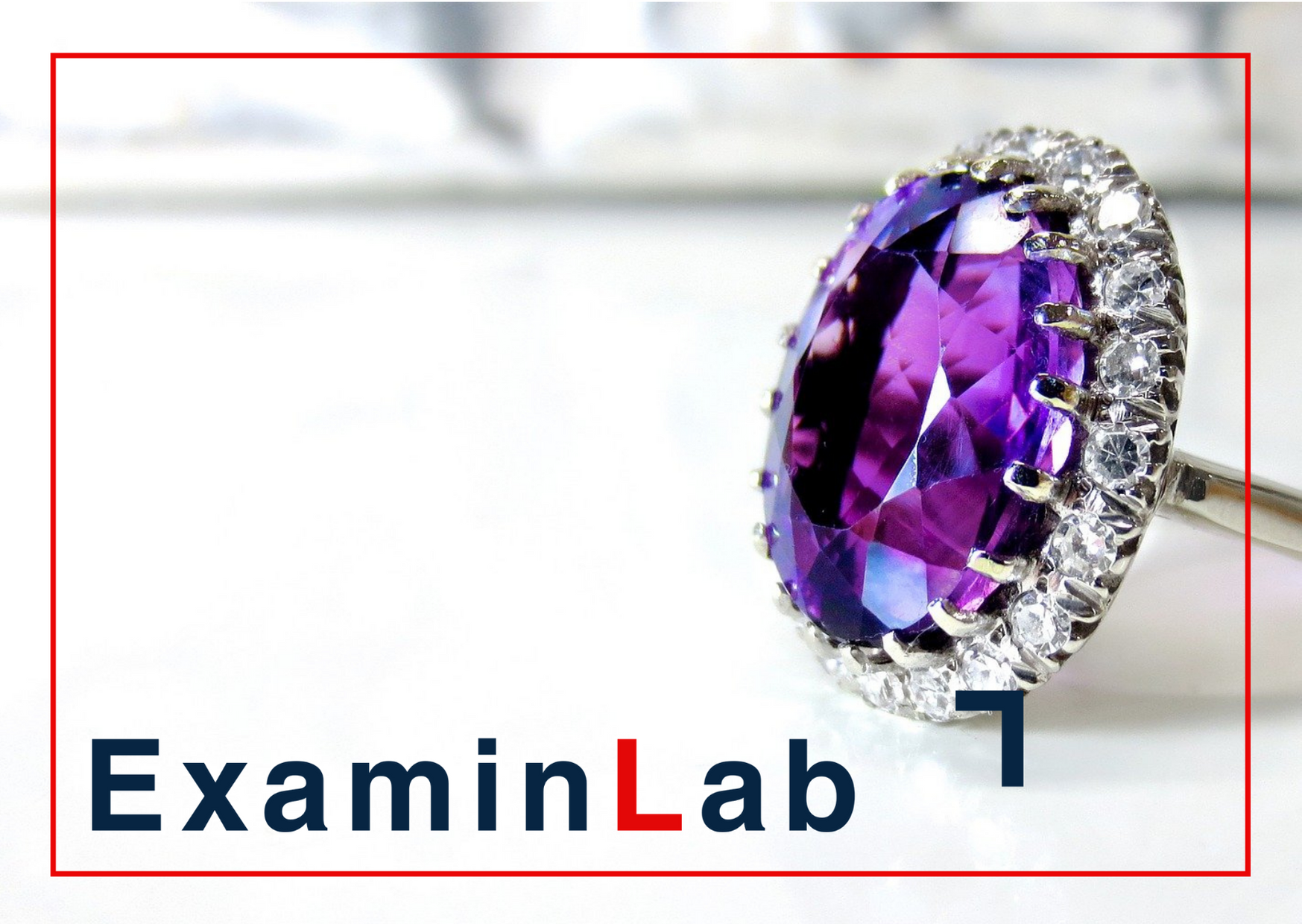 examinlab_luxury_linkedin_bis