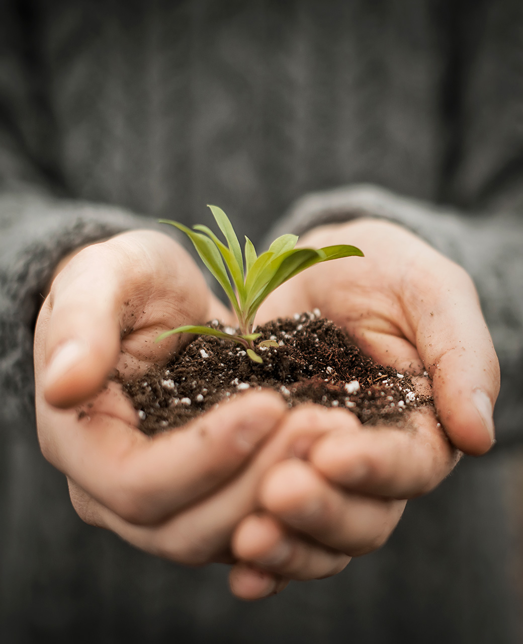 sustainability
